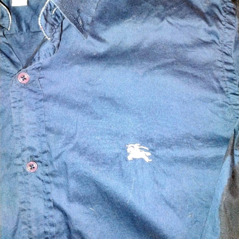 Burberry Blue Button-Up Shirt